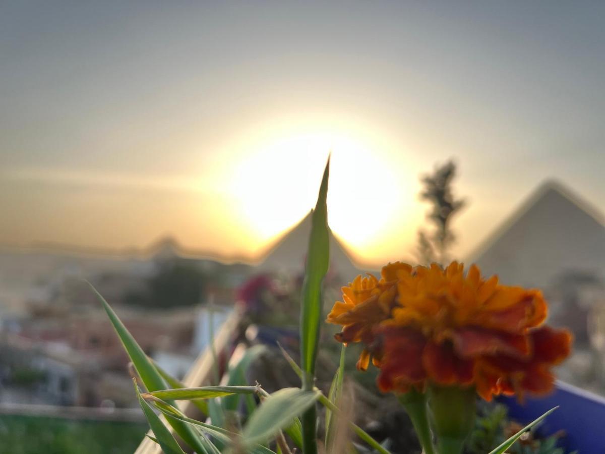 Pyramids Top Success Result Kafret el-Gabal Zewnętrze zdjęcie