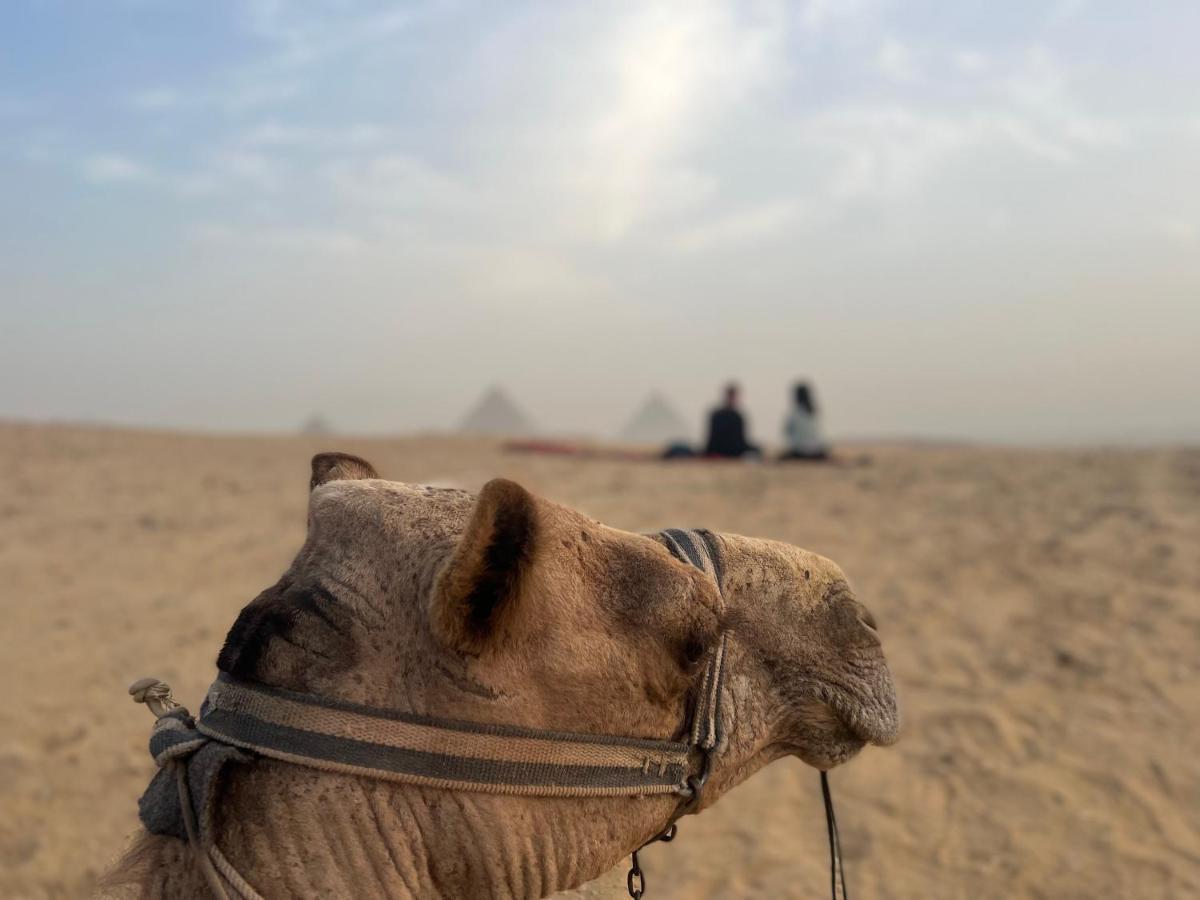 Pyramids Top Success Result Kafret el-Gabal Zewnętrze zdjęcie