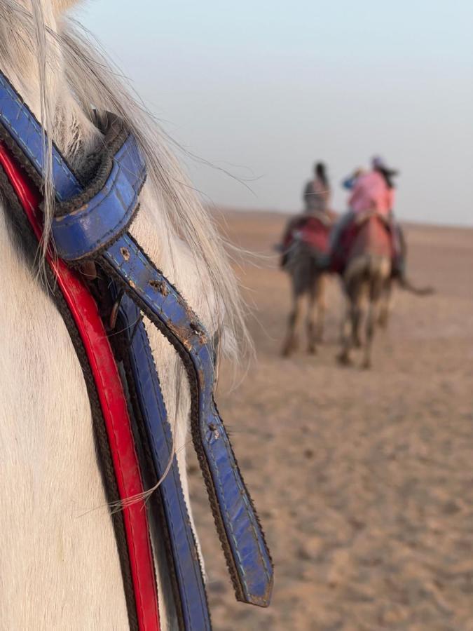 Pyramids Top Success Result Kafret el-Gabal Zewnętrze zdjęcie